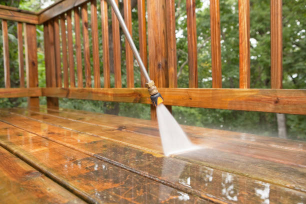 Animal Enclosure Cleaning in Jefferson, NC